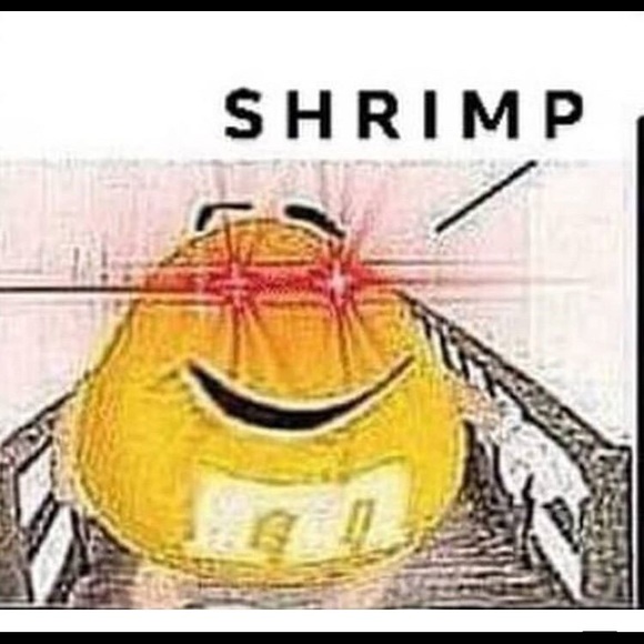 Meet your Posher, Aaminah - Picture 1 of 1